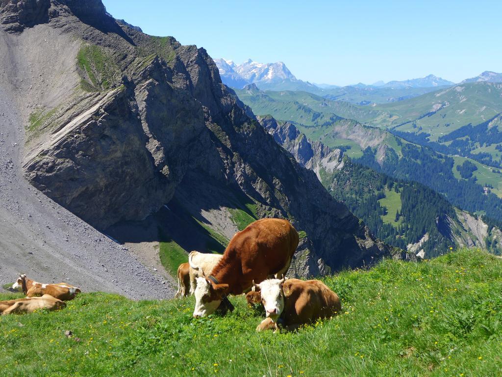 Hami Villa Adelboden Room photo